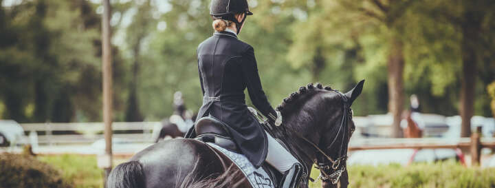 banner reiter derby stars von morgen